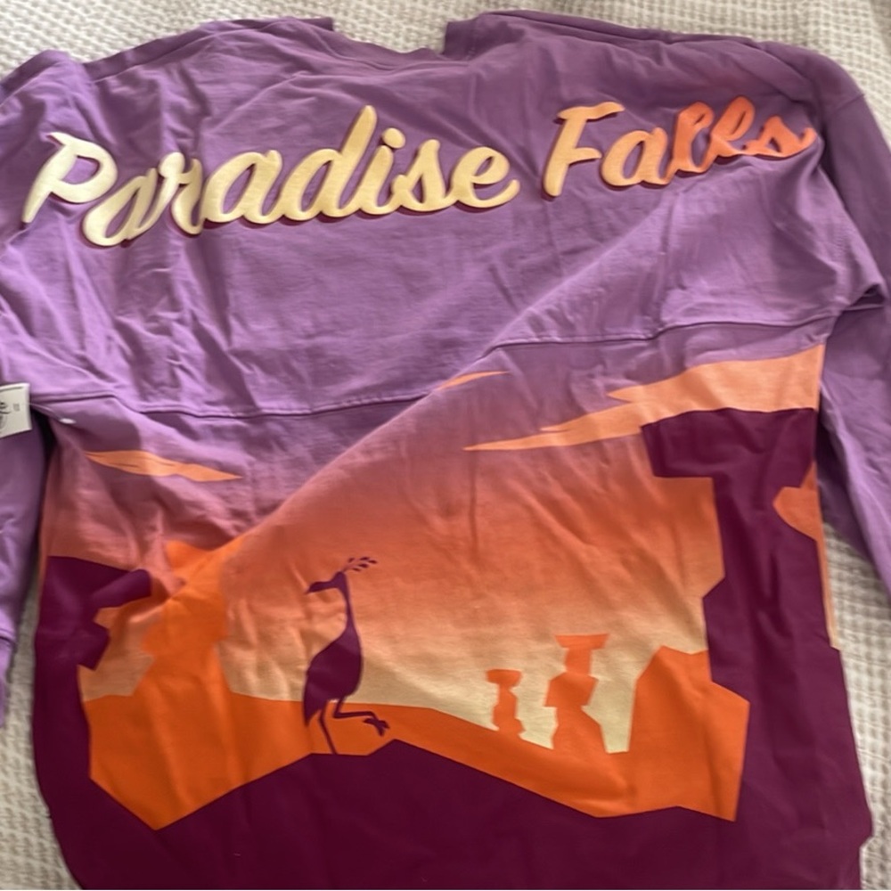 Up Disney jersey size small